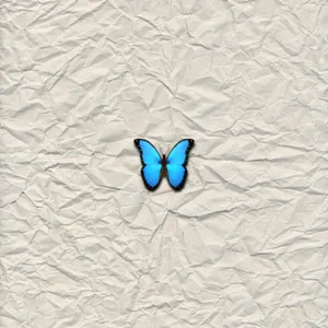 1.Kamu🦋