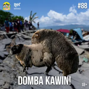 #88 Domba KAWIN!