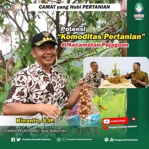 Episode 111# Potensi Komoditas Pertanian di Kec. Pejagoan Kebumen