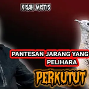 Suara Tengah Malam||Misteri Perkutut di Malam Hari