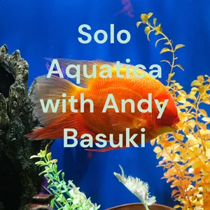 Solo Aquatica with Andy Basuki