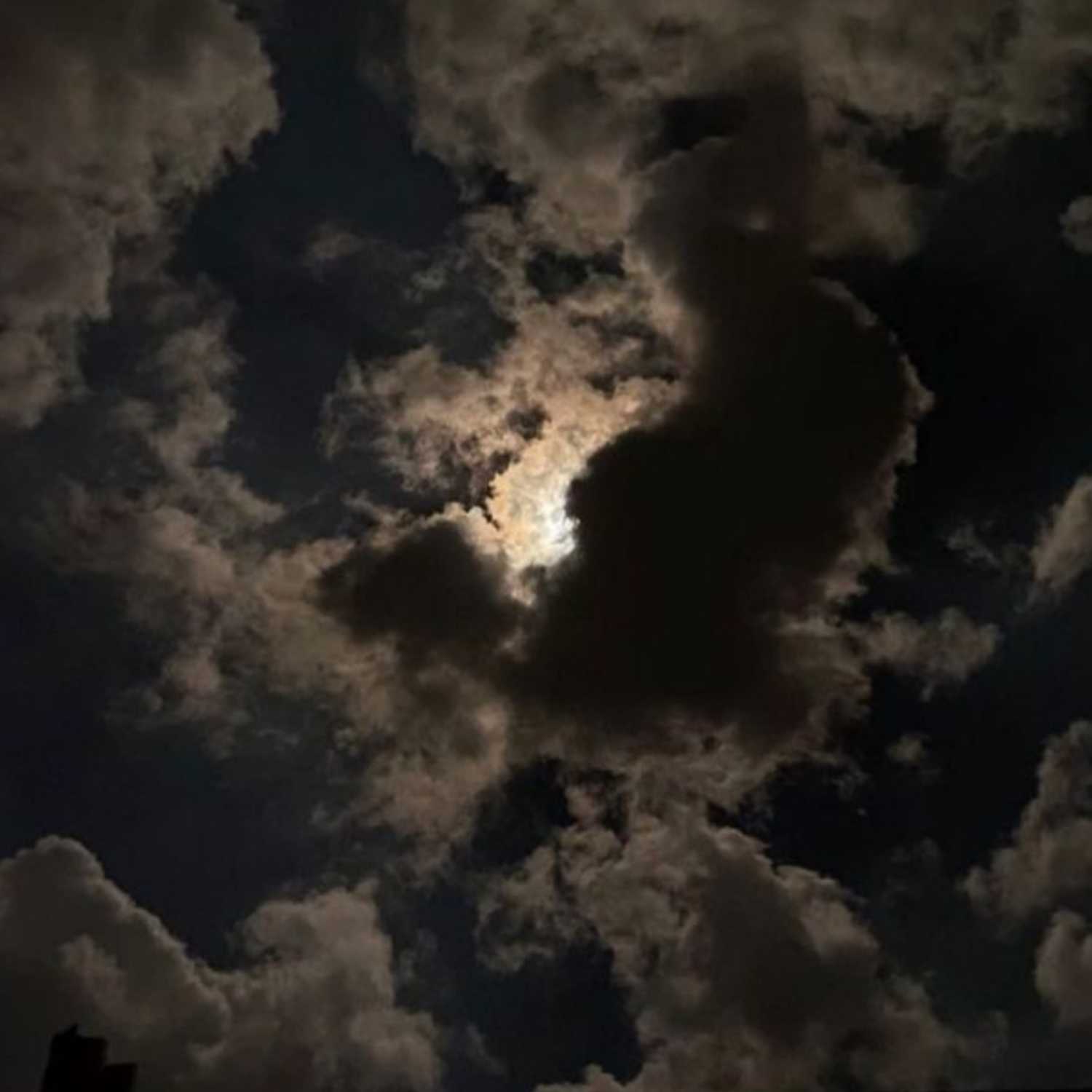 Hey, What is your name?