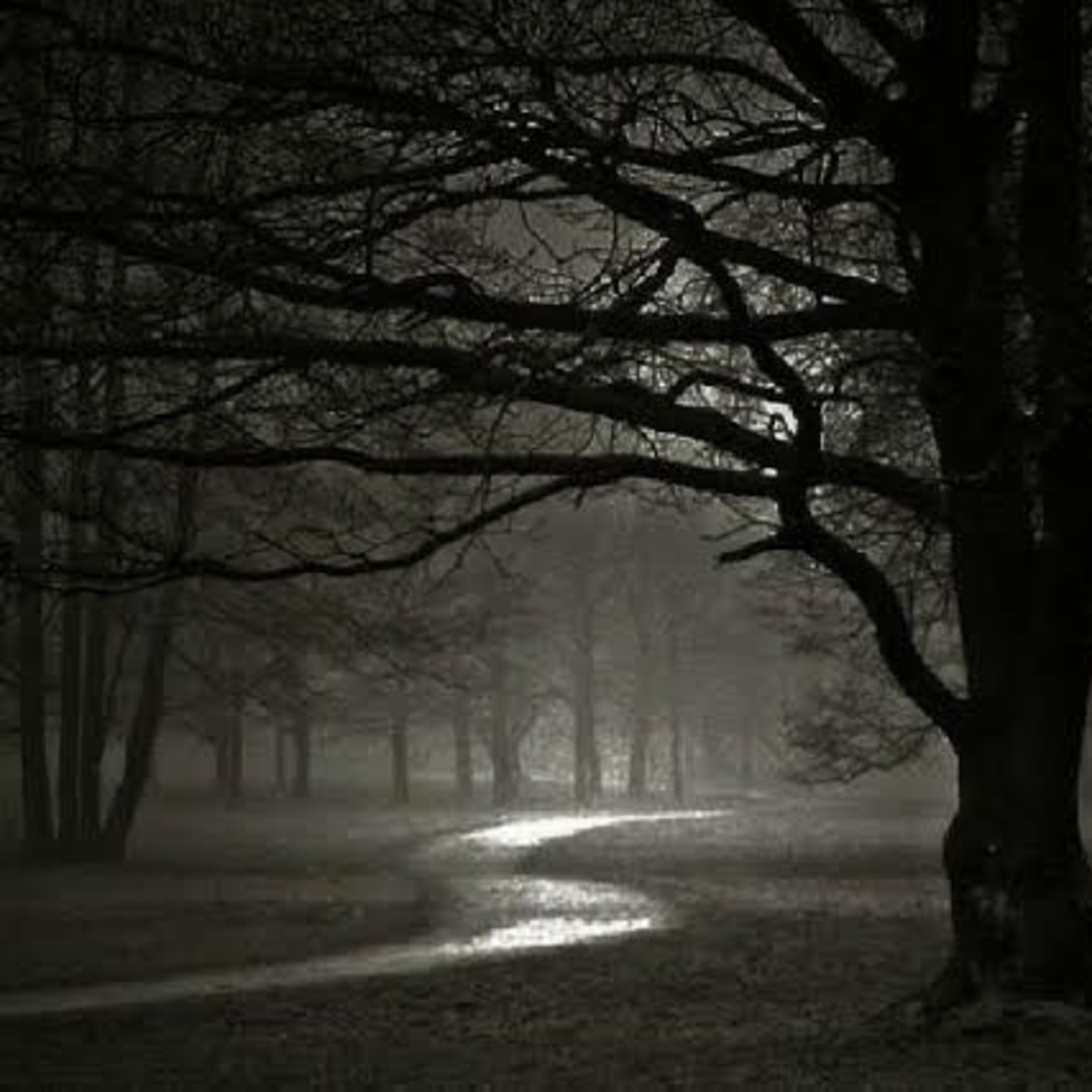 #017 Sejarah ALAS ROBAN • Hutan Pintu Gerbang Dunia Jin • Podcast Cerita Horor Horror • HORRORHOLICS