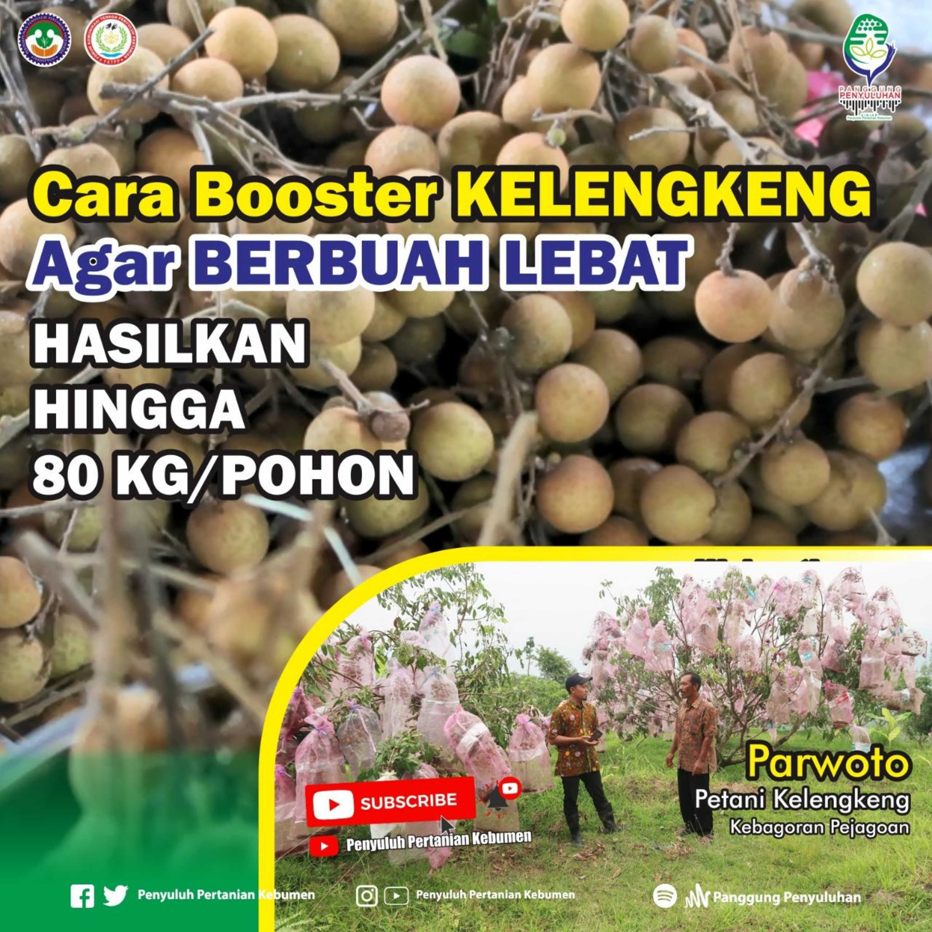 Episode 114 # Cara Boster Kelengkeng