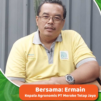 HARGA SAYURAN MURAH 😢 || Fenomena Hari Raya ❗❗