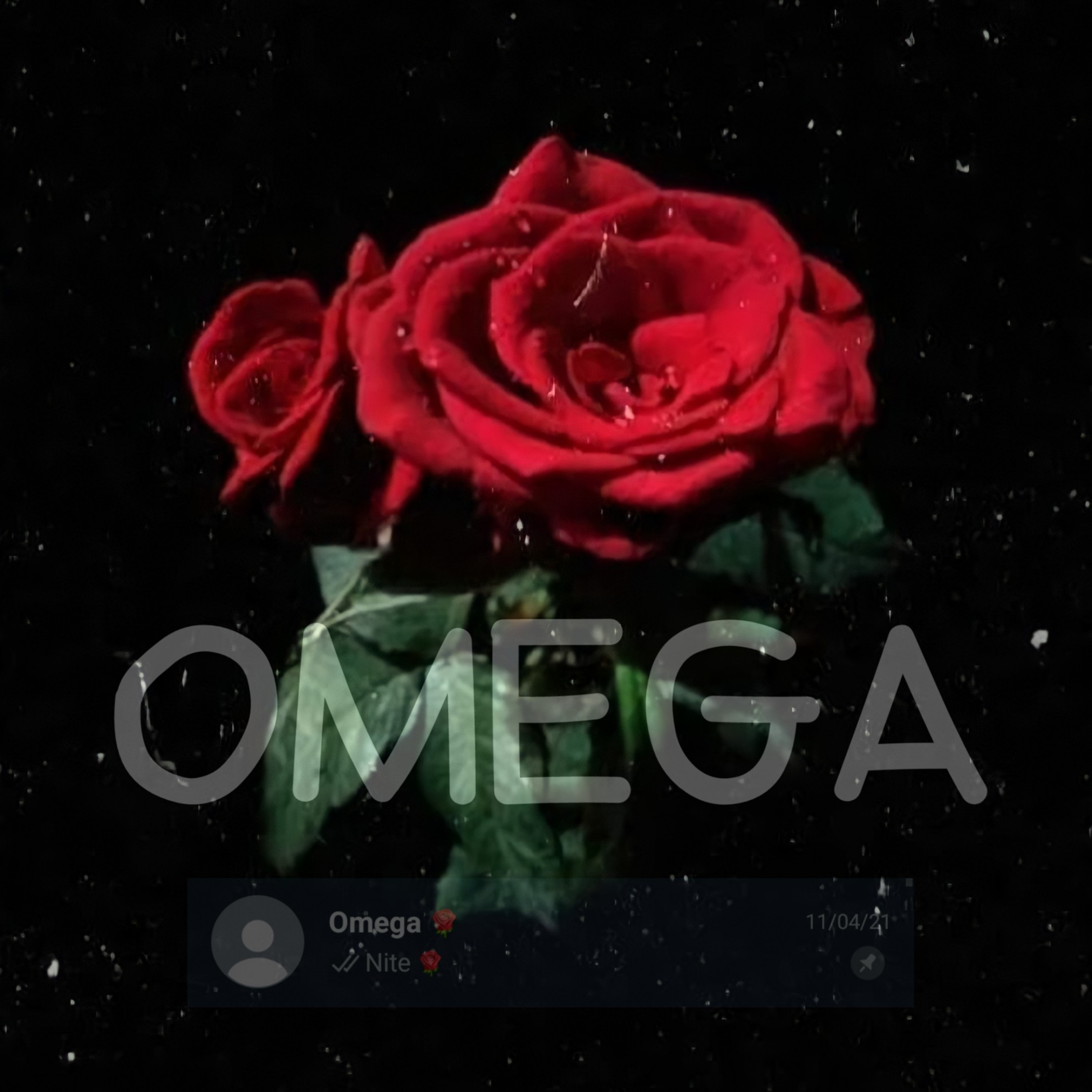 OMEGA 🌹