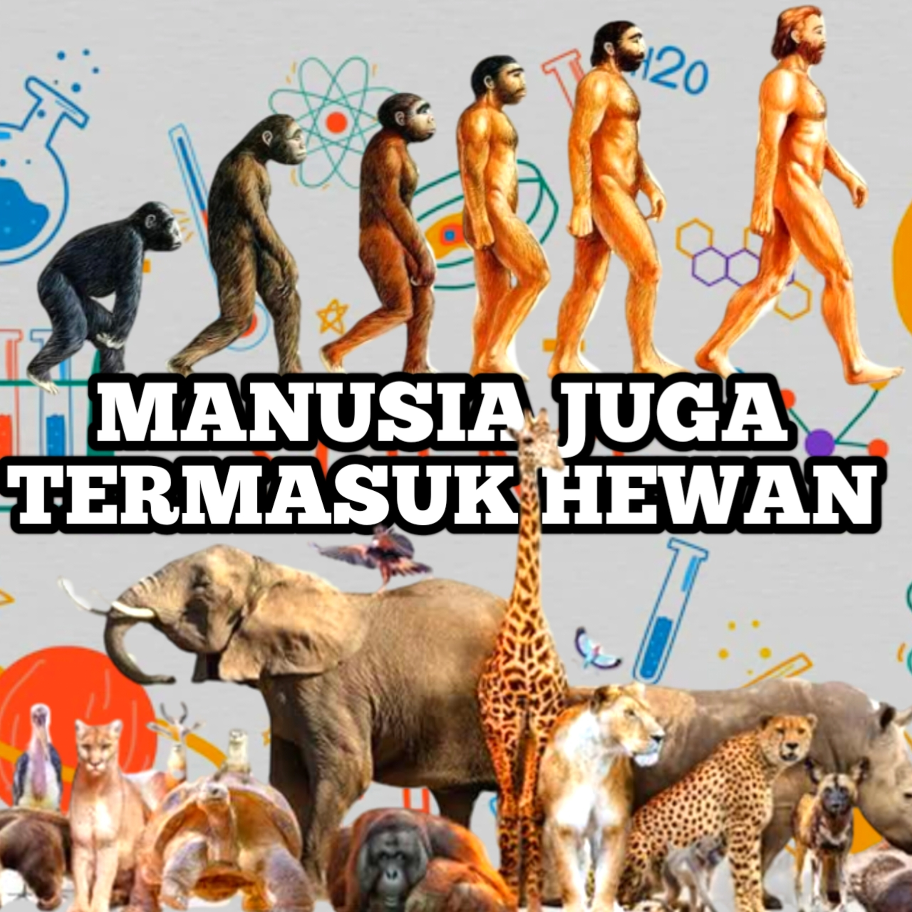 Eps 4: Manusia sebenarnya adalah termasuk hewan juga