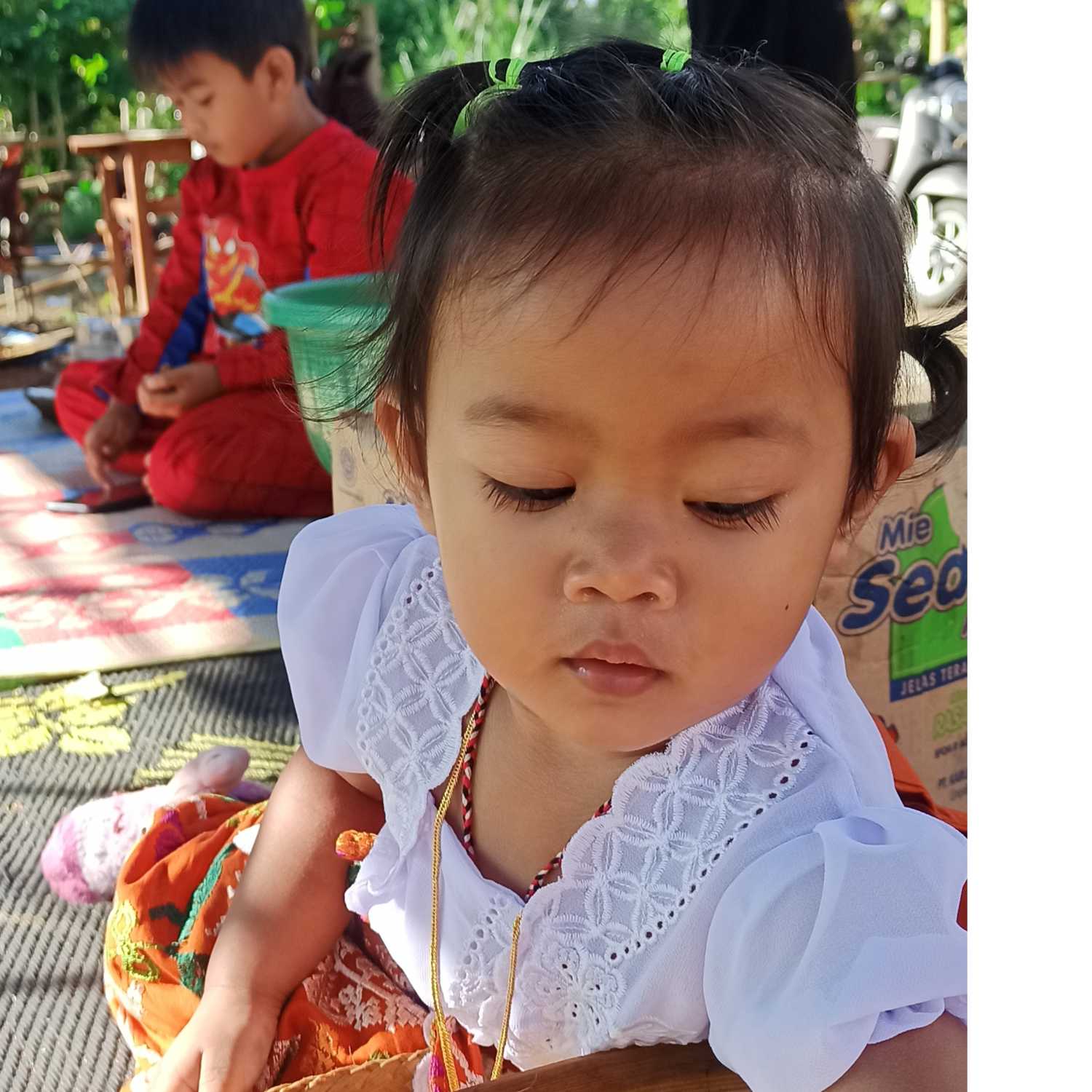 Ayam Hitam menjadi Bebek Hitam