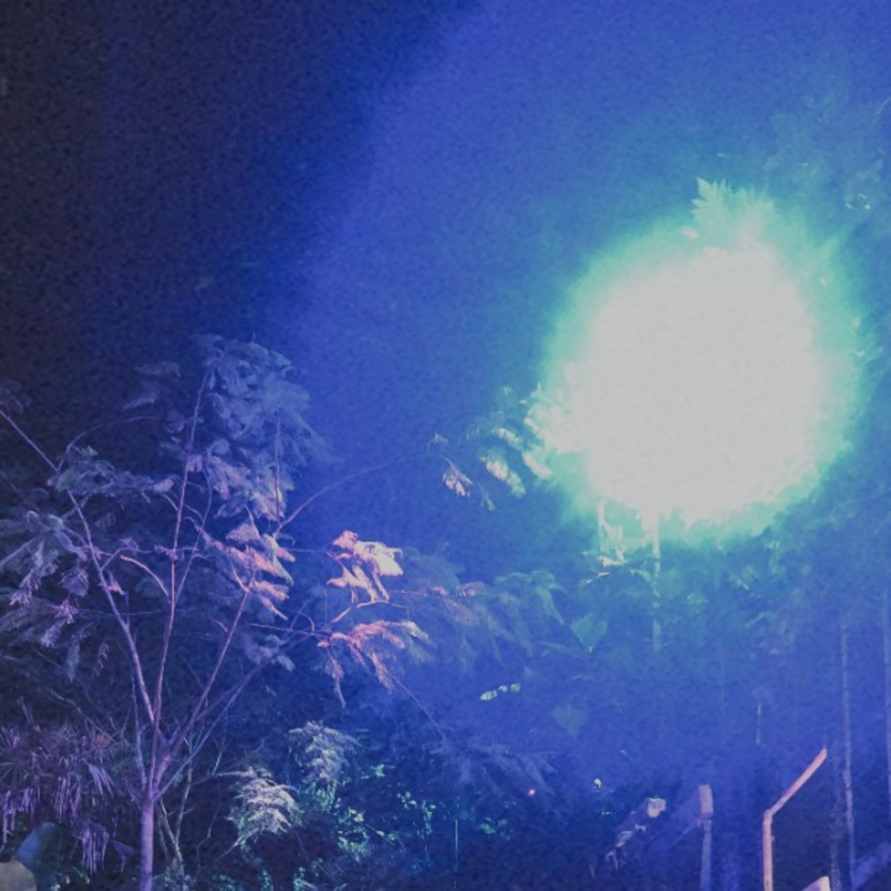 Dengan senang hati menjadikan jiwa mu tenang 