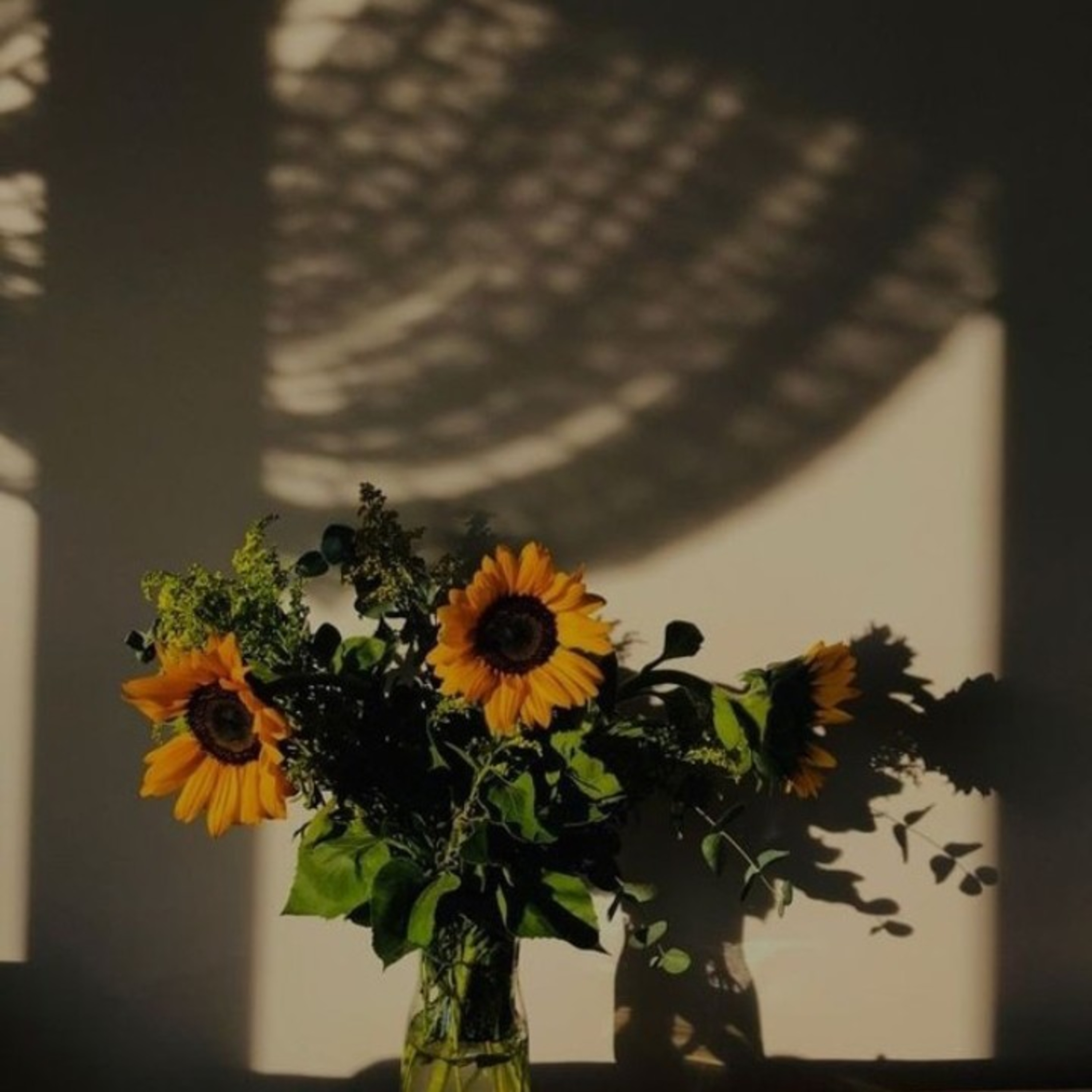 aku iri kepada mereka 