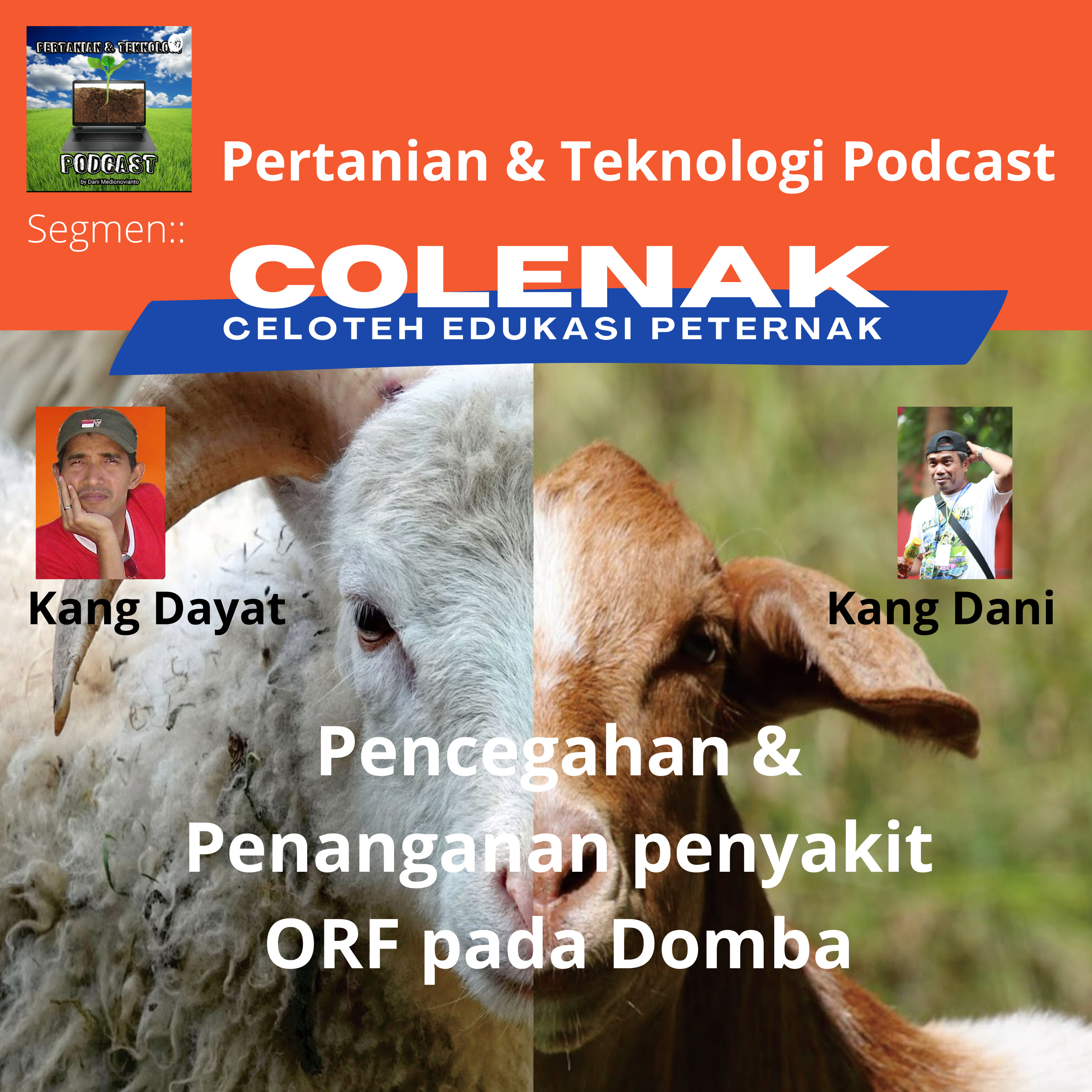 COLENAK #2 Pencegahan & Penanganan Penyakit ORF pada Domba