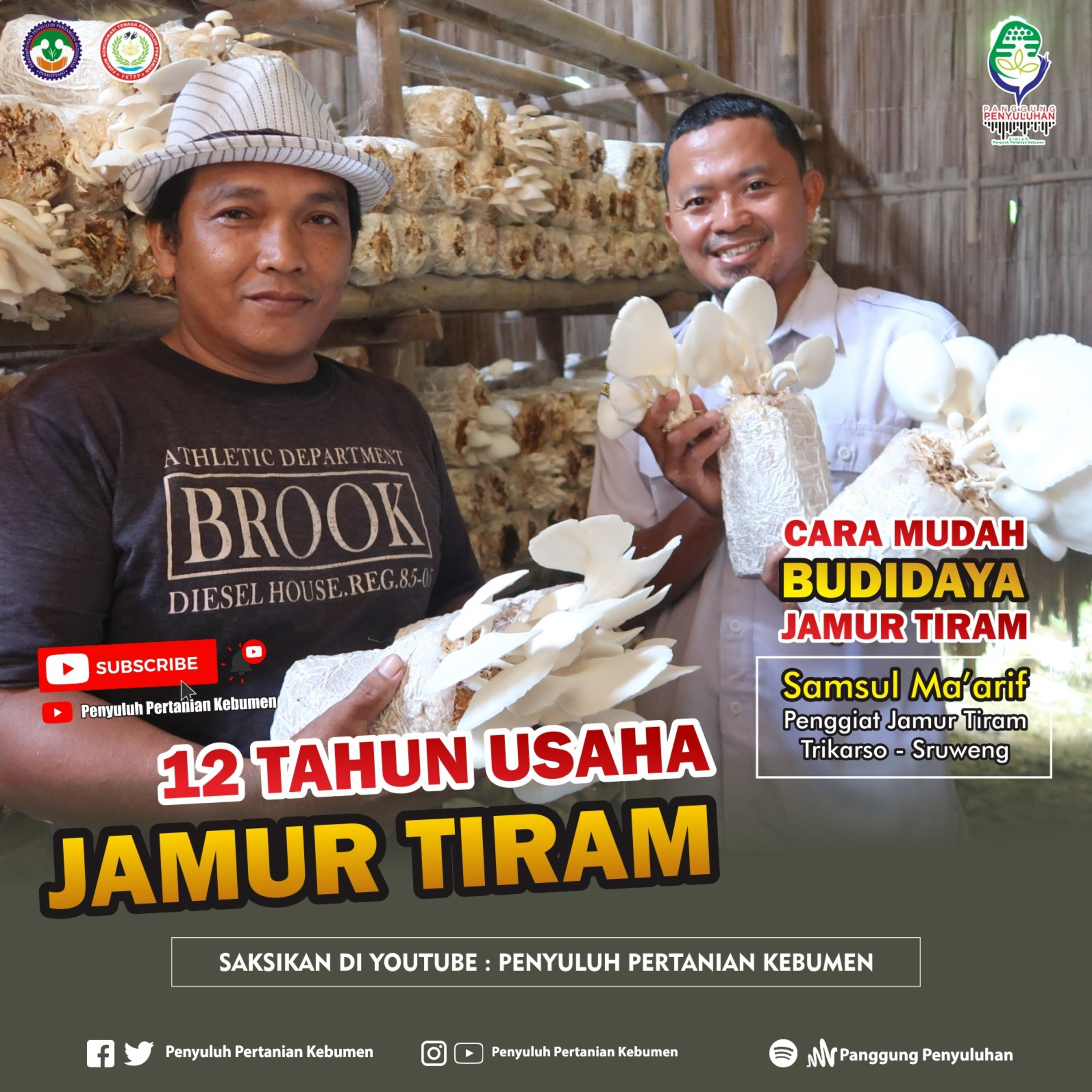Episode 121 # 12 Tahun Usaha Jamur Tiram