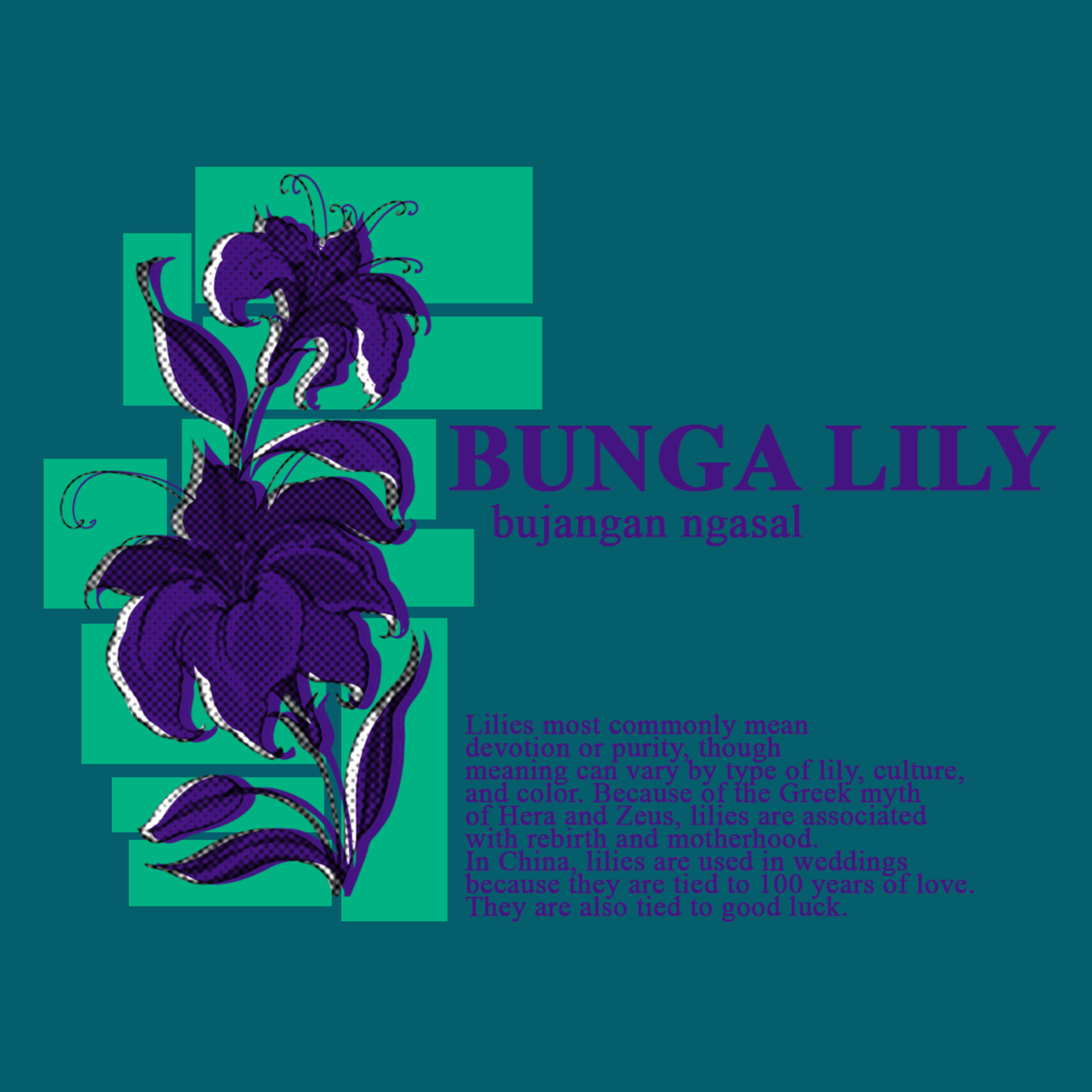 Bunga Lily Eps 7. Umur Segini, Duit Segitu