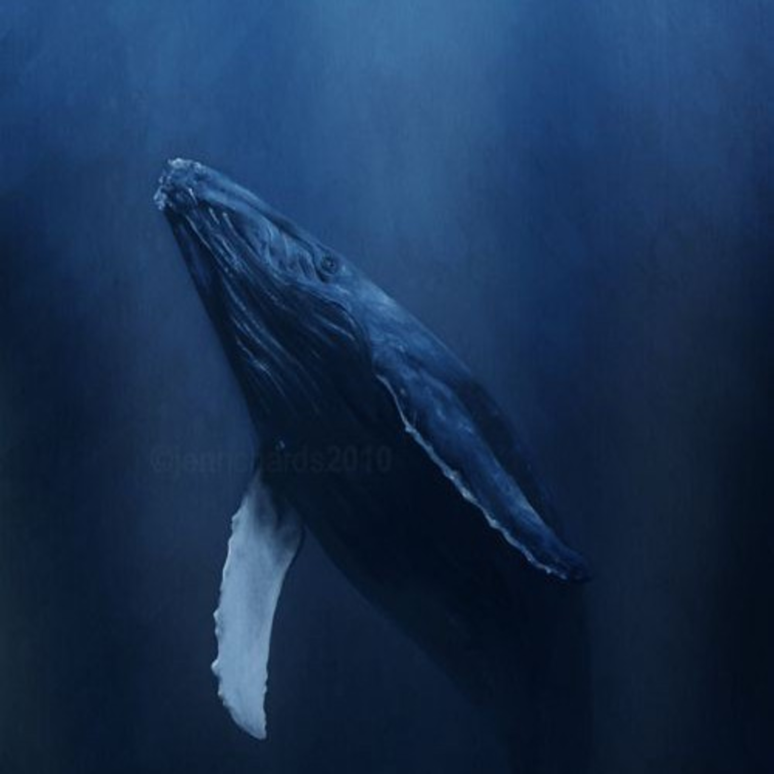 What if your best friend gone?