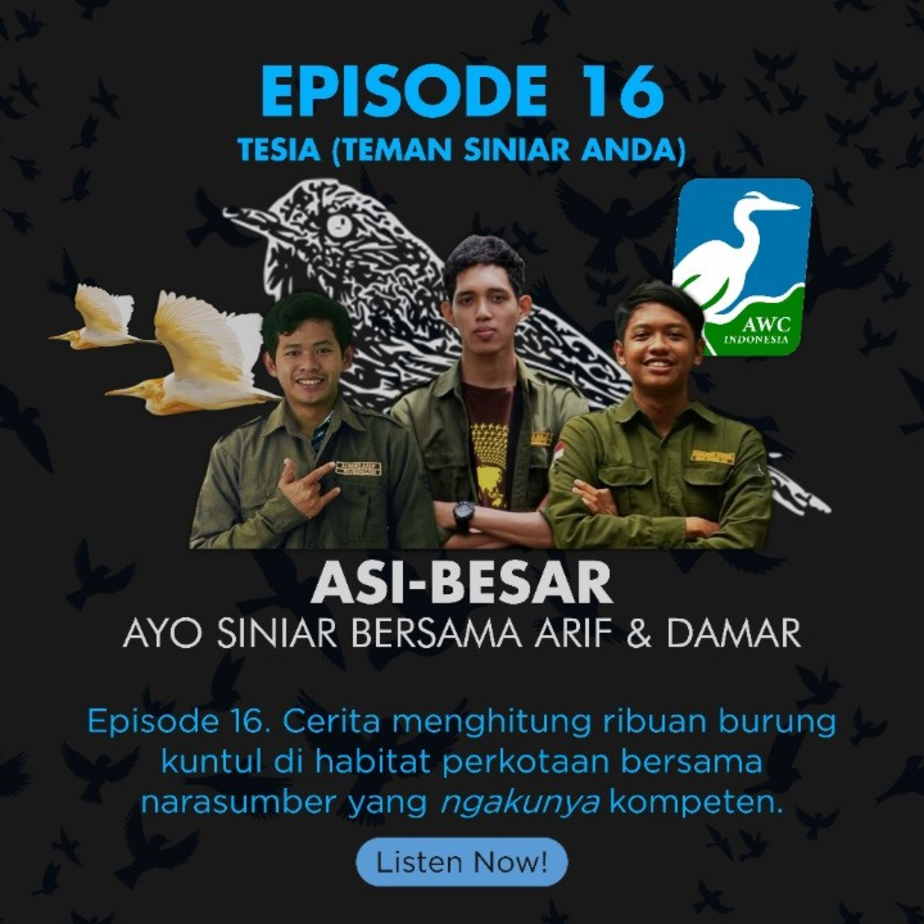 Eps16. Menghitung Ribuan Burung Kuntul (Edisi Spesial AWC)