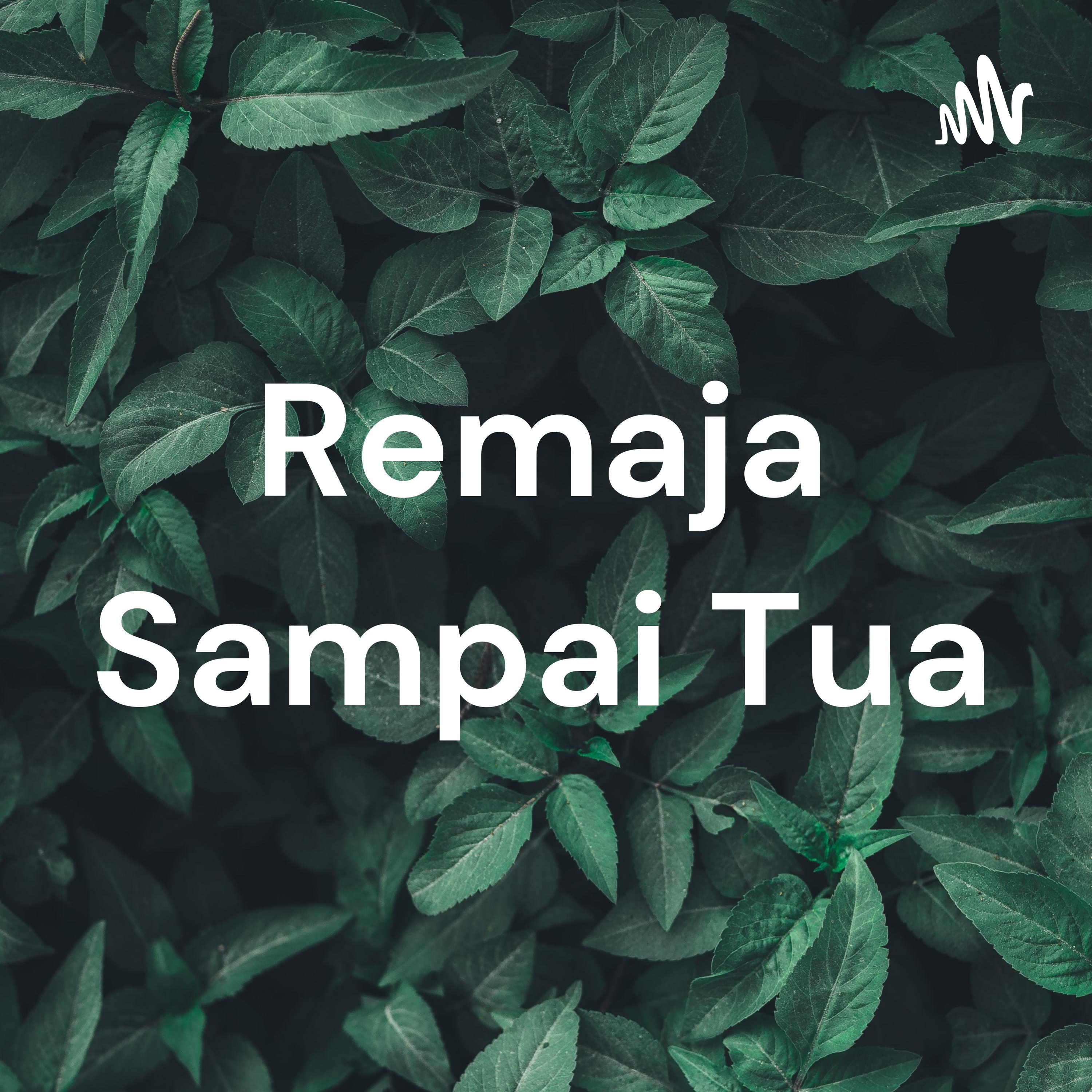 04. Cerita kehidupan malam