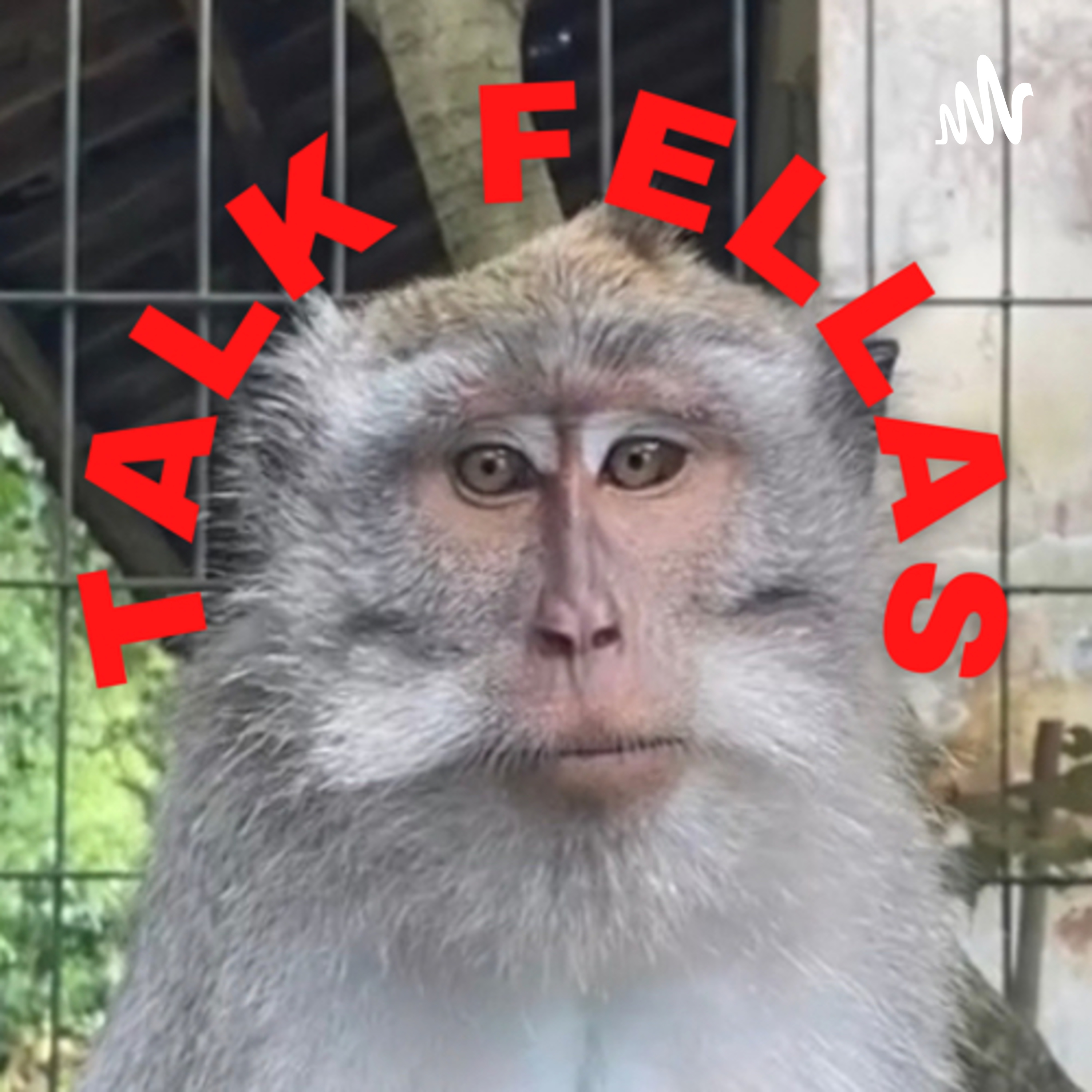 TALK FELLAS - CINTA PADA PANDANG PERTAMA