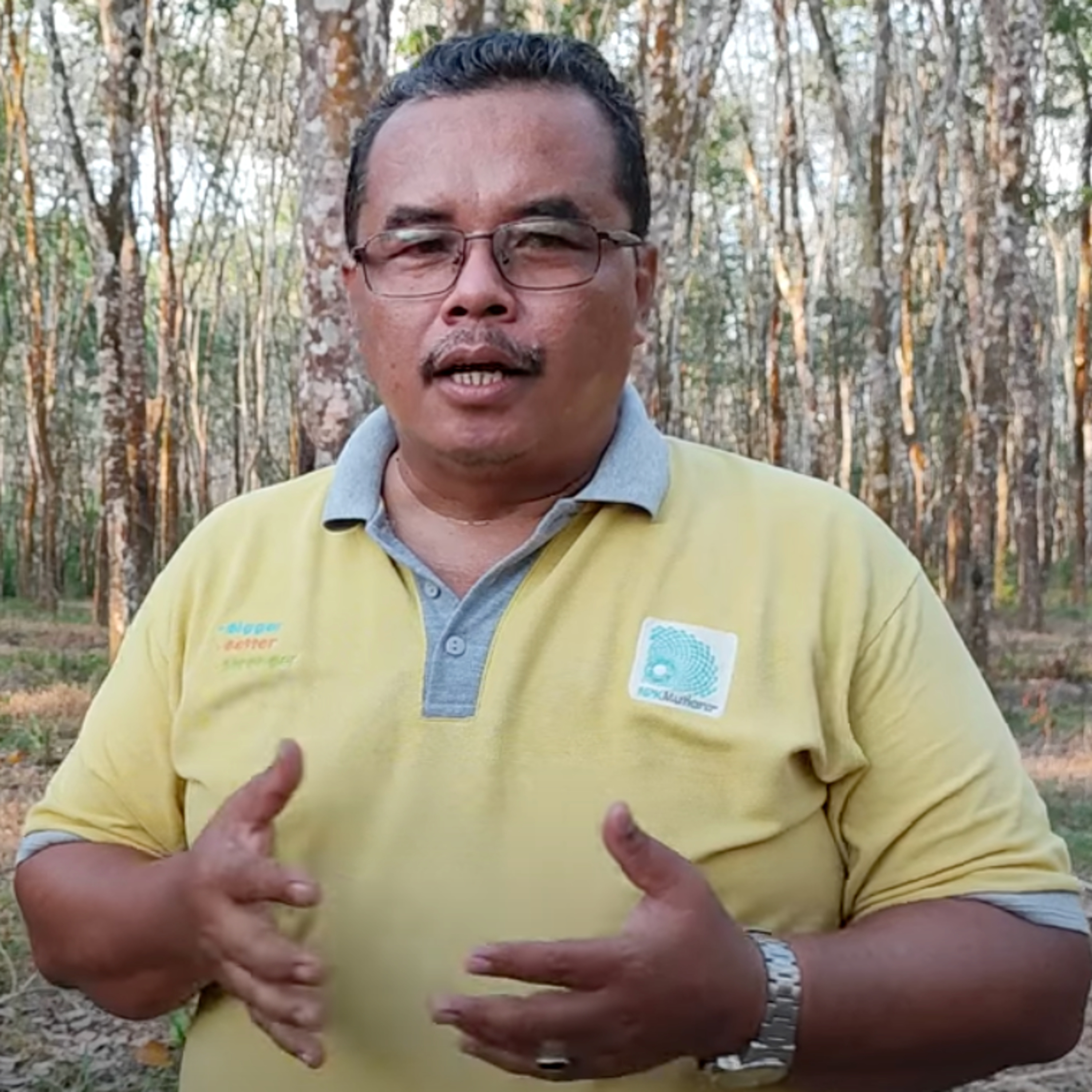 RAWAT YUK KEBUN KARET, BIAR GA TURUN PRODUKSI GETAHNYA 🤝🏻 | ERMAIN - CurHat Tani #5