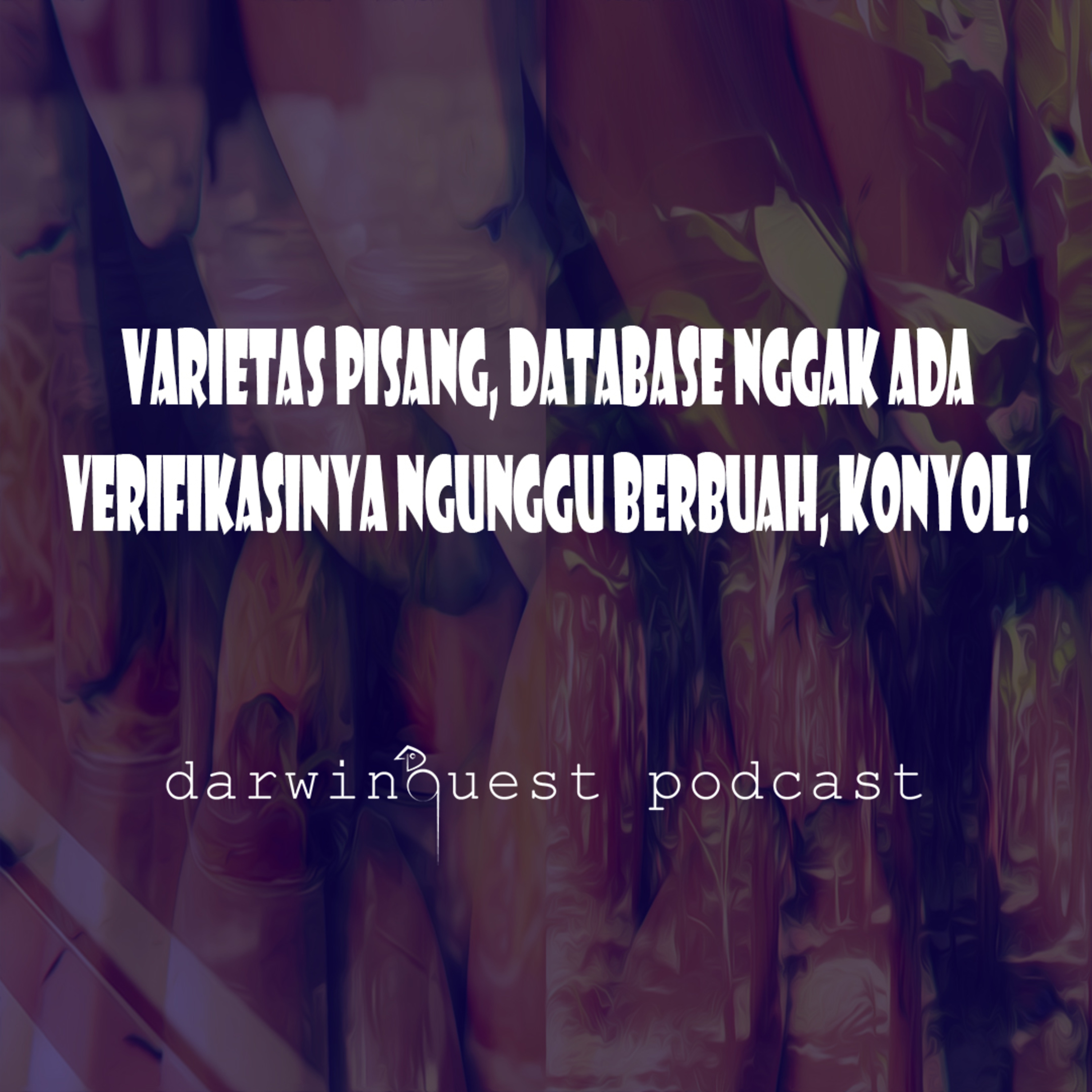 Betapa susahnya menelusur galur bibit tanaman pisang di Indonesia