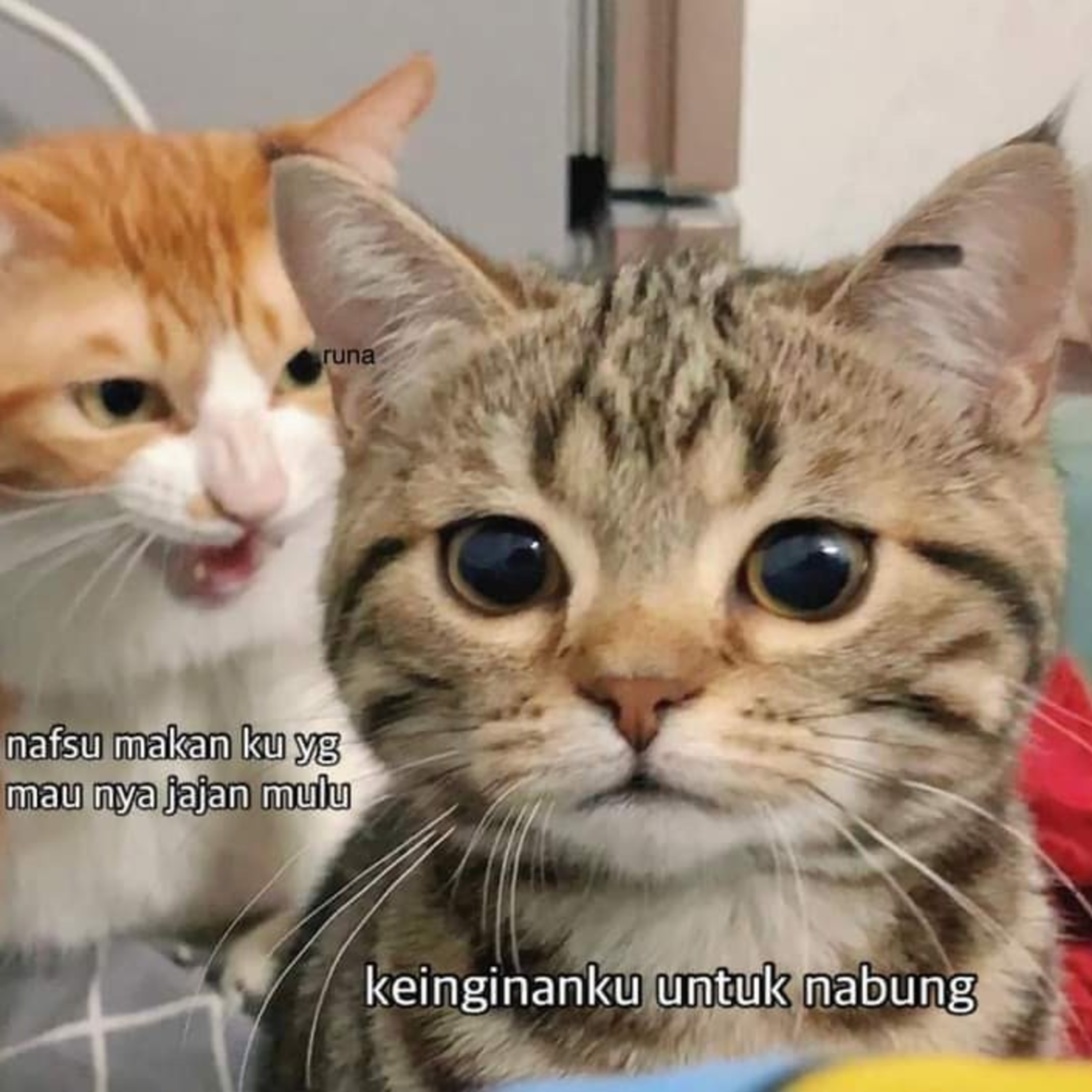 TrusTissue - Perubahan yang merujuk pada ke Toxic-an