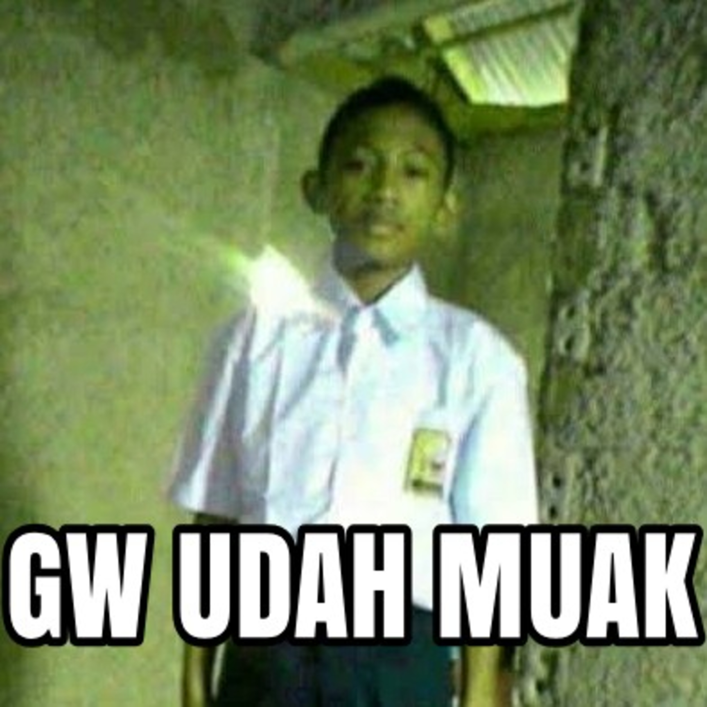 TrusTissue - Planning perkenalan dengan teman monyet