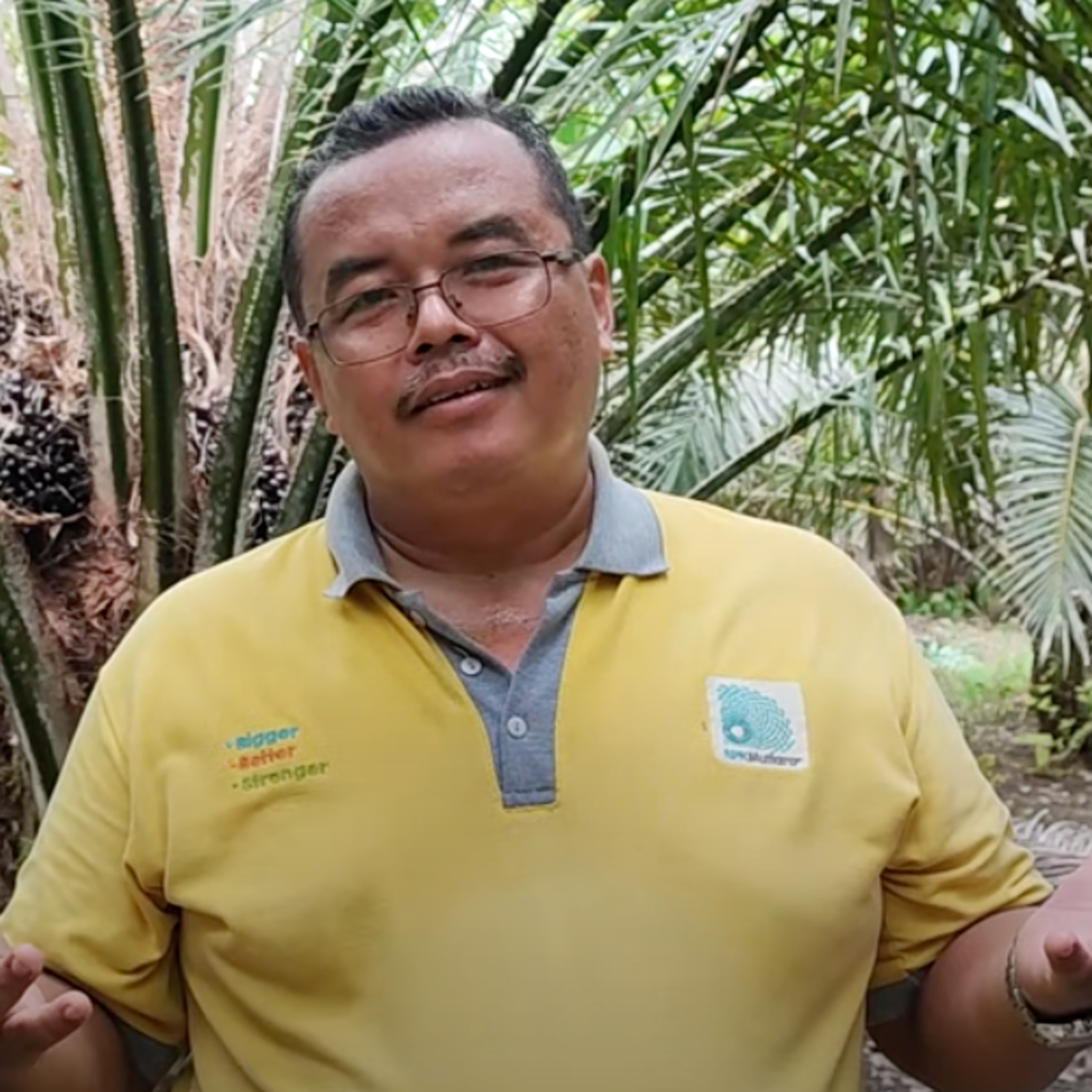 HARGA SAWIT TURUN, TETAP DIRAWAT YAA... | ERMAIN - CurHat Tani #4