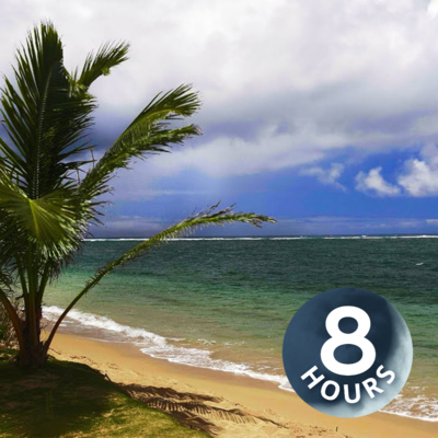 Ocean Sounds for Sleep | Relaxing Wave White Noise 8 Hours