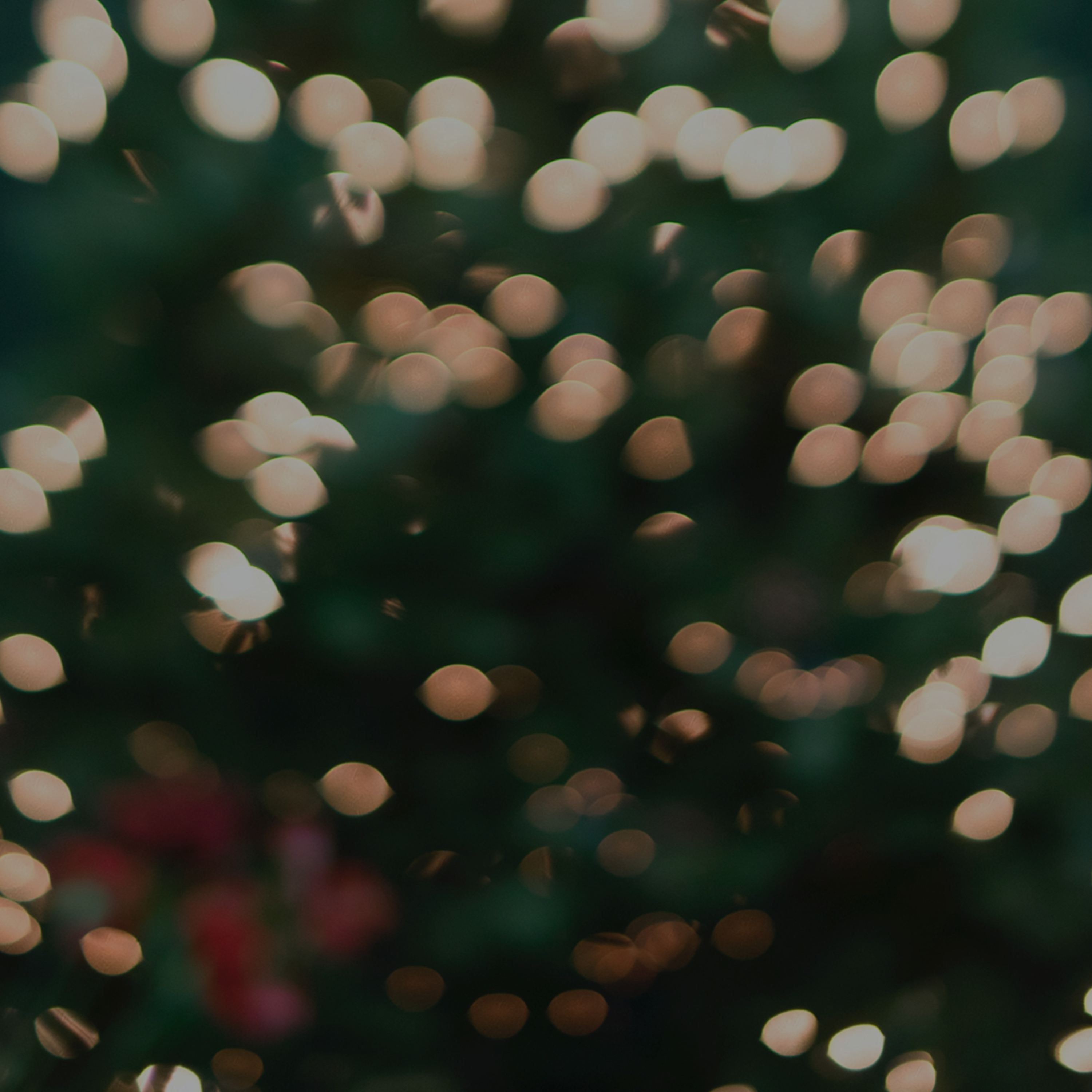 Christmas Horror Stories | Merry Chritmas | Creepypasta