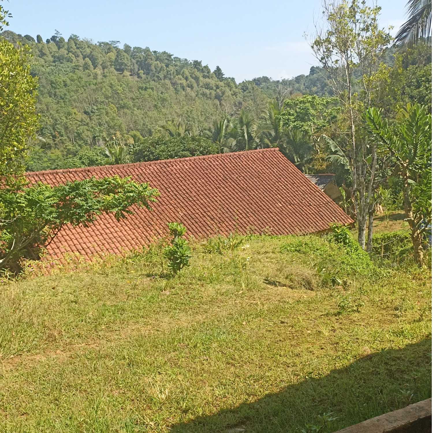 Kamana karep