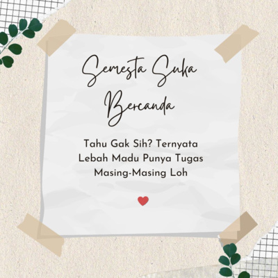 Tahu Gak Sih? Ternyata Lebah Madu Mempunyai Tugas Masing-masing loh