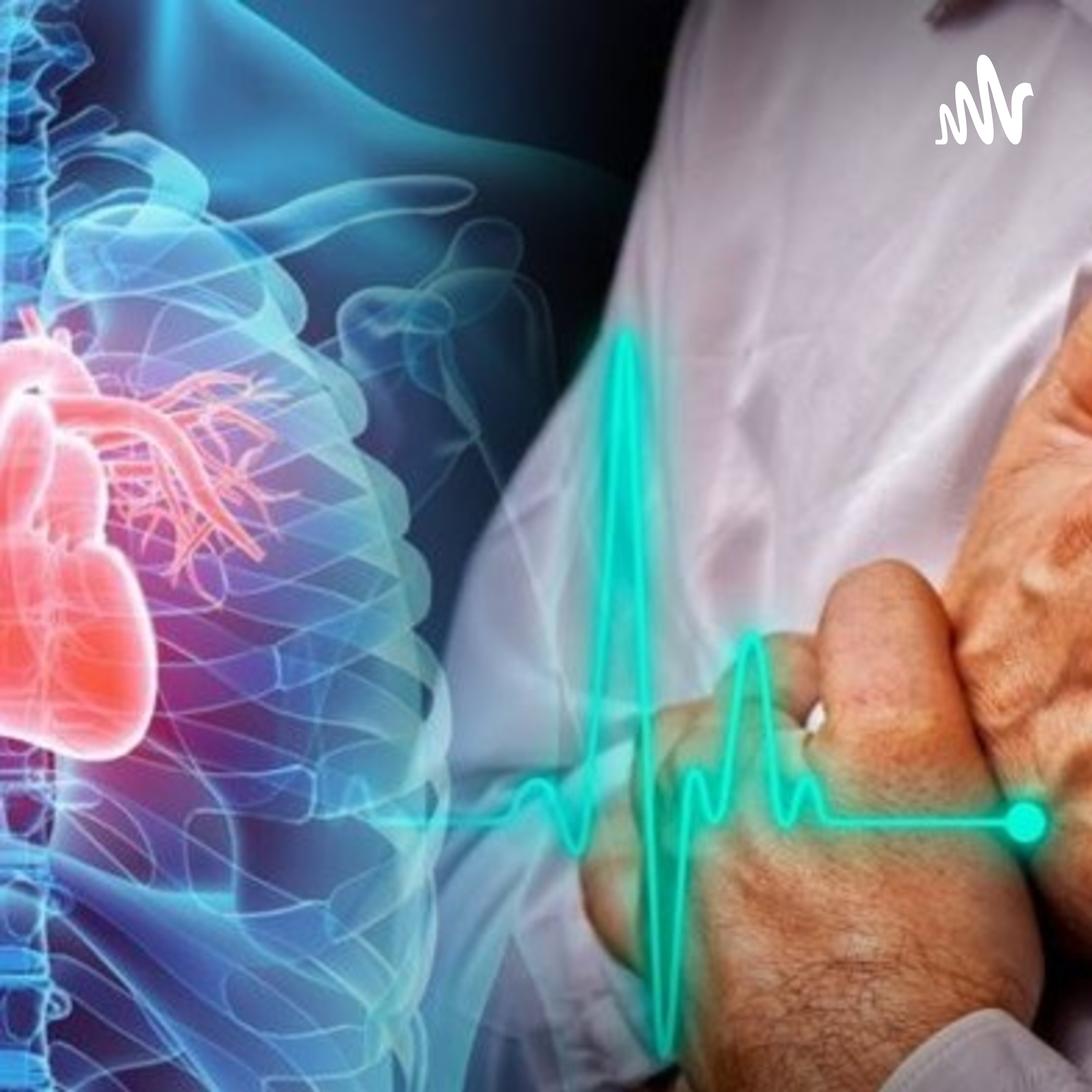 Sistem Peredaran Darah Pada Manusia