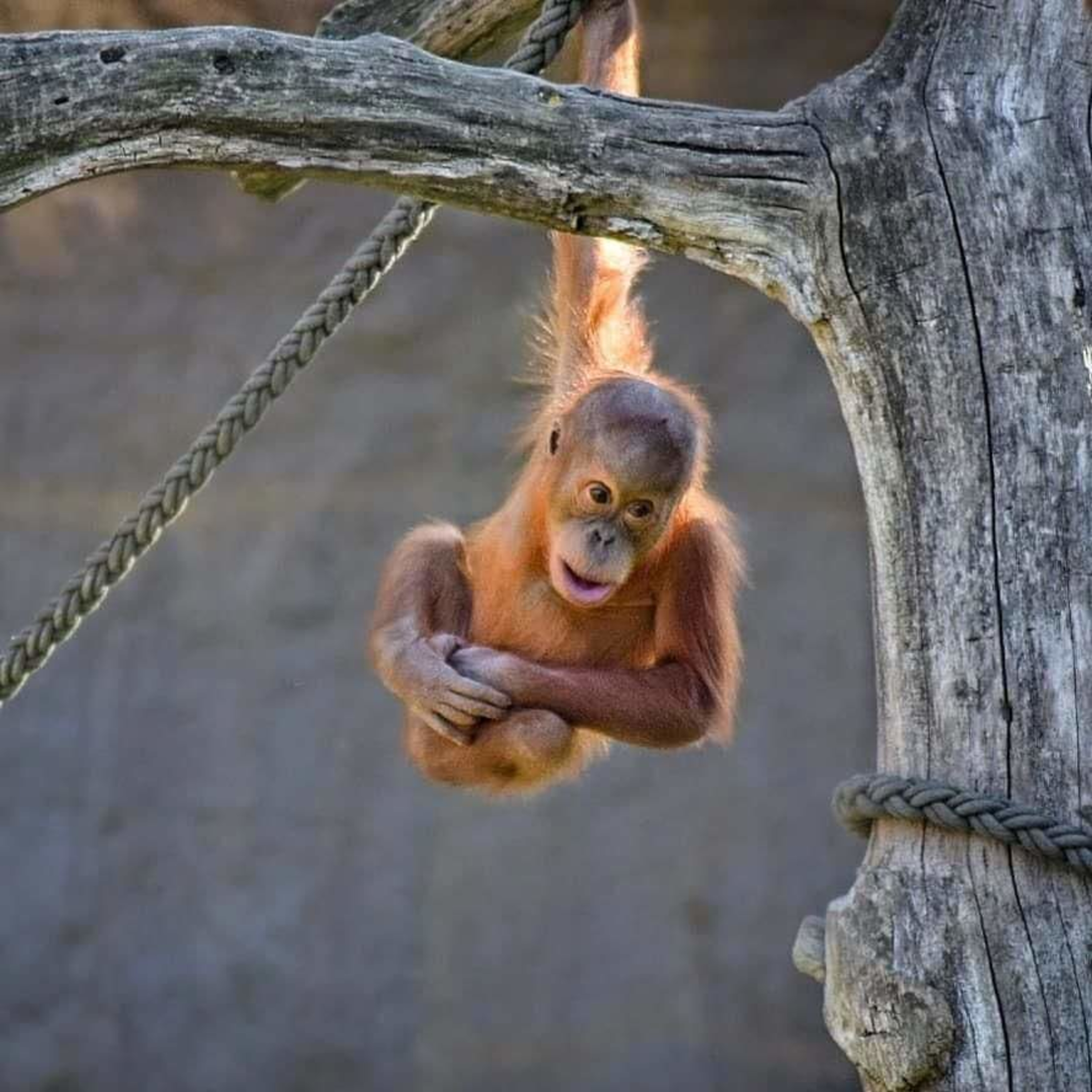 Pikiranmu menentukan ketenanganmu