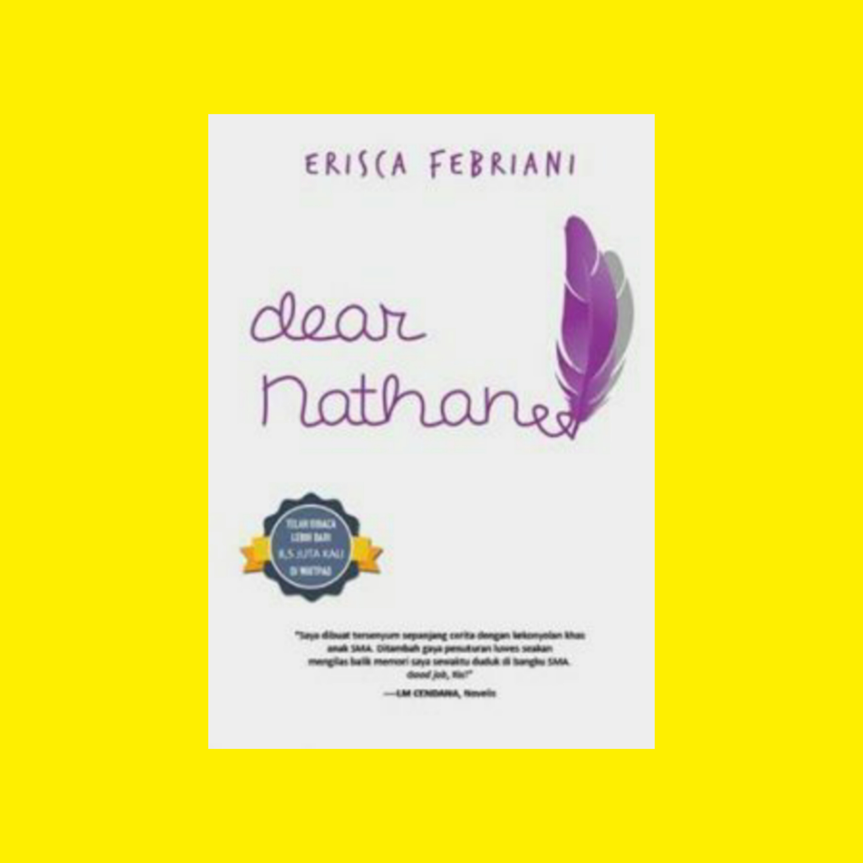 Dear Nathan, Sebuah Novel Novel Remaja Romantis Karya Erisca Febriani
