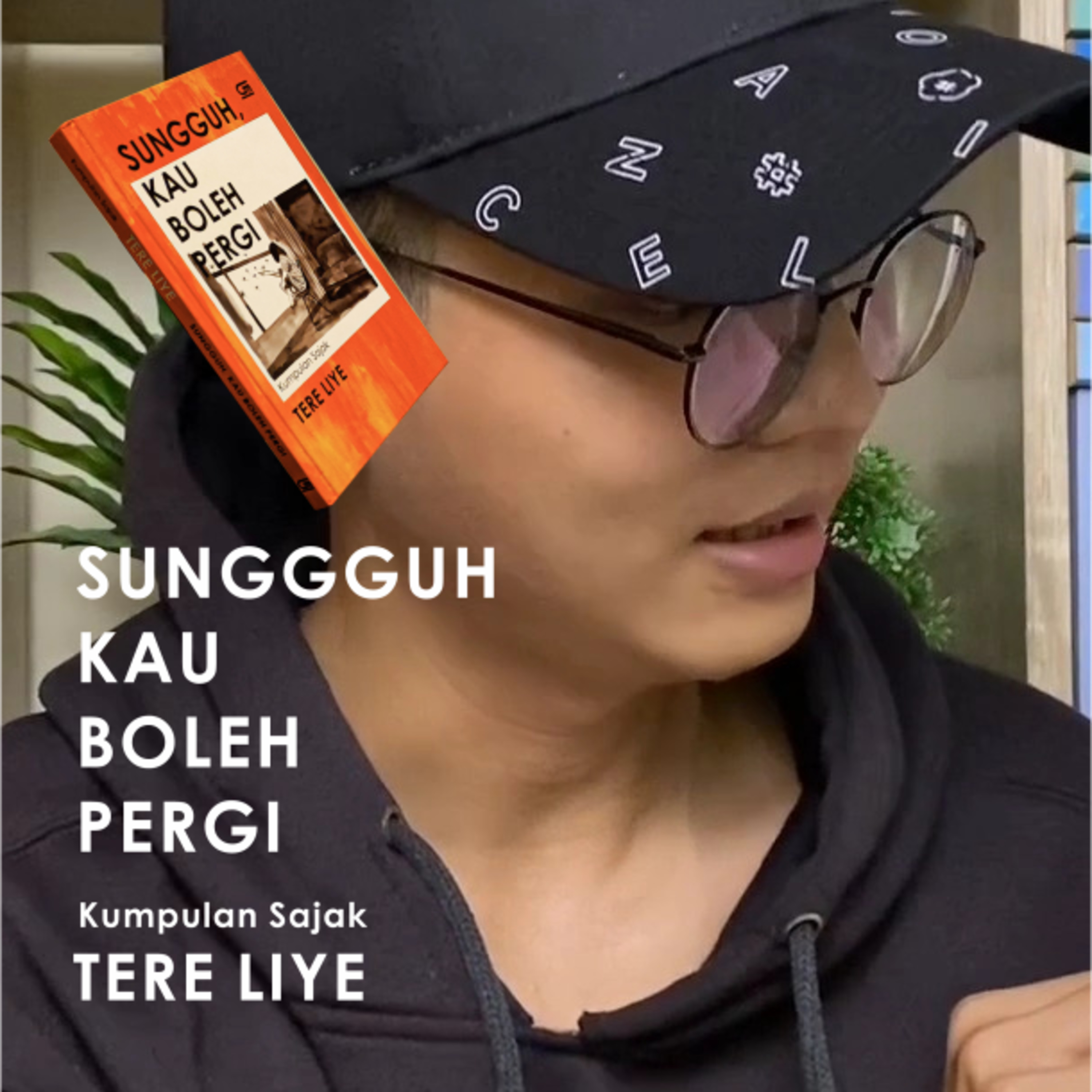Ulasan Buku Kumpulan Sajak Sungguh Kau Boleh Pergi Karya Tere Liye 