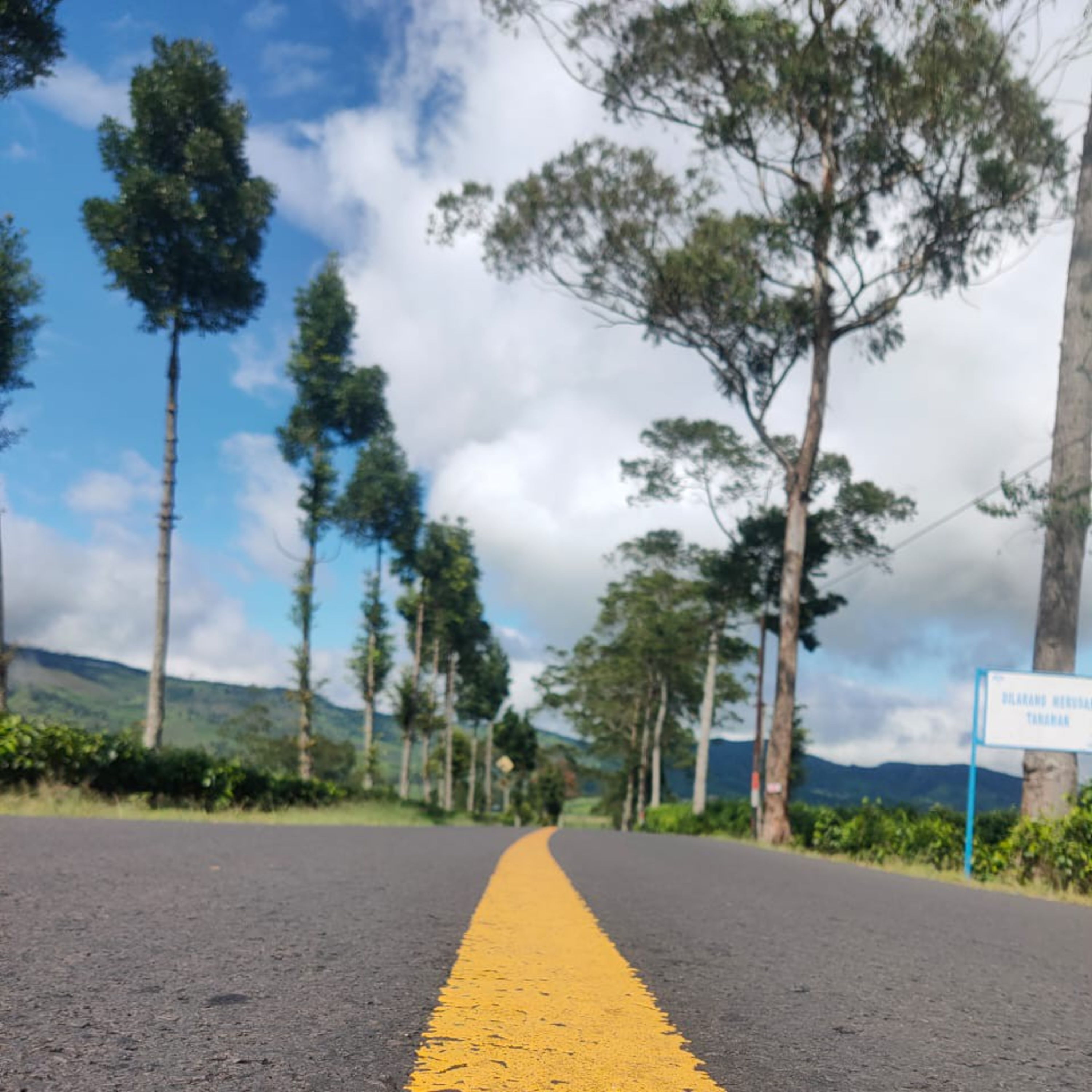 Creative islamic parenting - agar sifat buruk tidak menjadi pohon raksasa