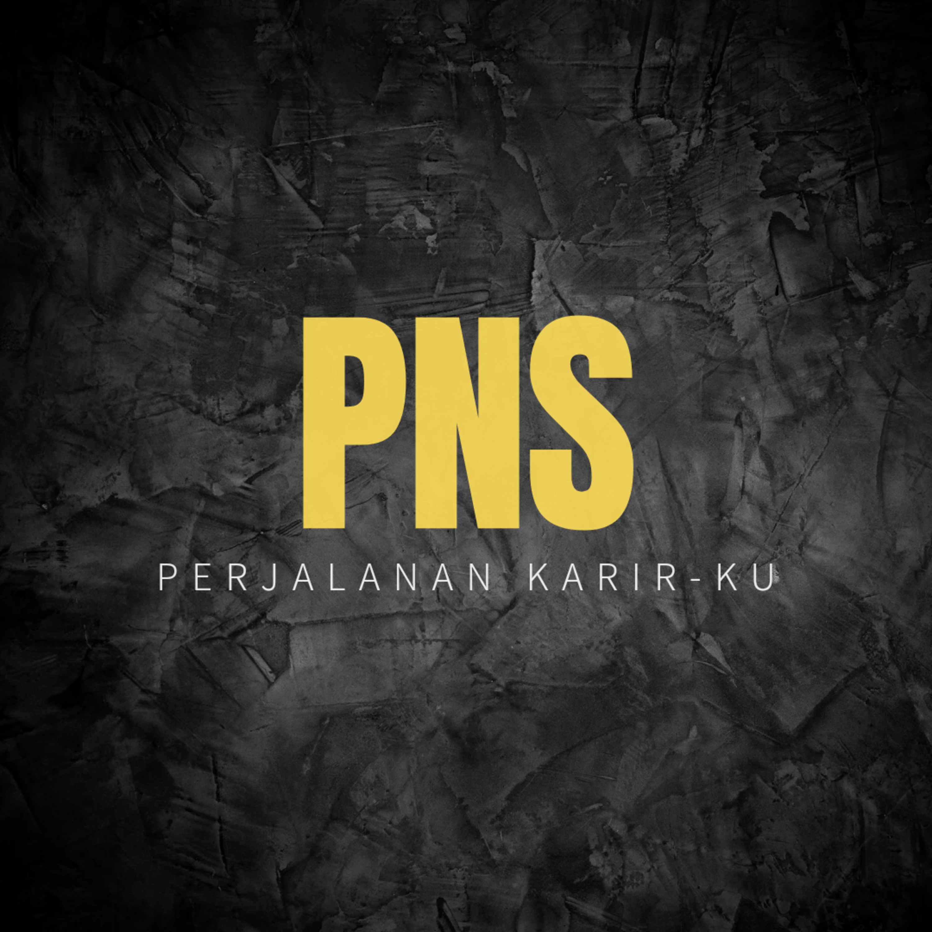Karir PNS