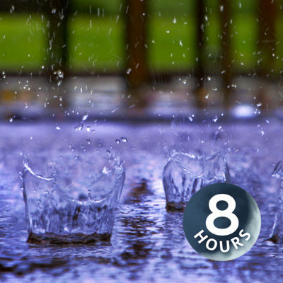 Rain Sounds for Sleep or Relaxation (No Thunder) | White Noise 8 Hours