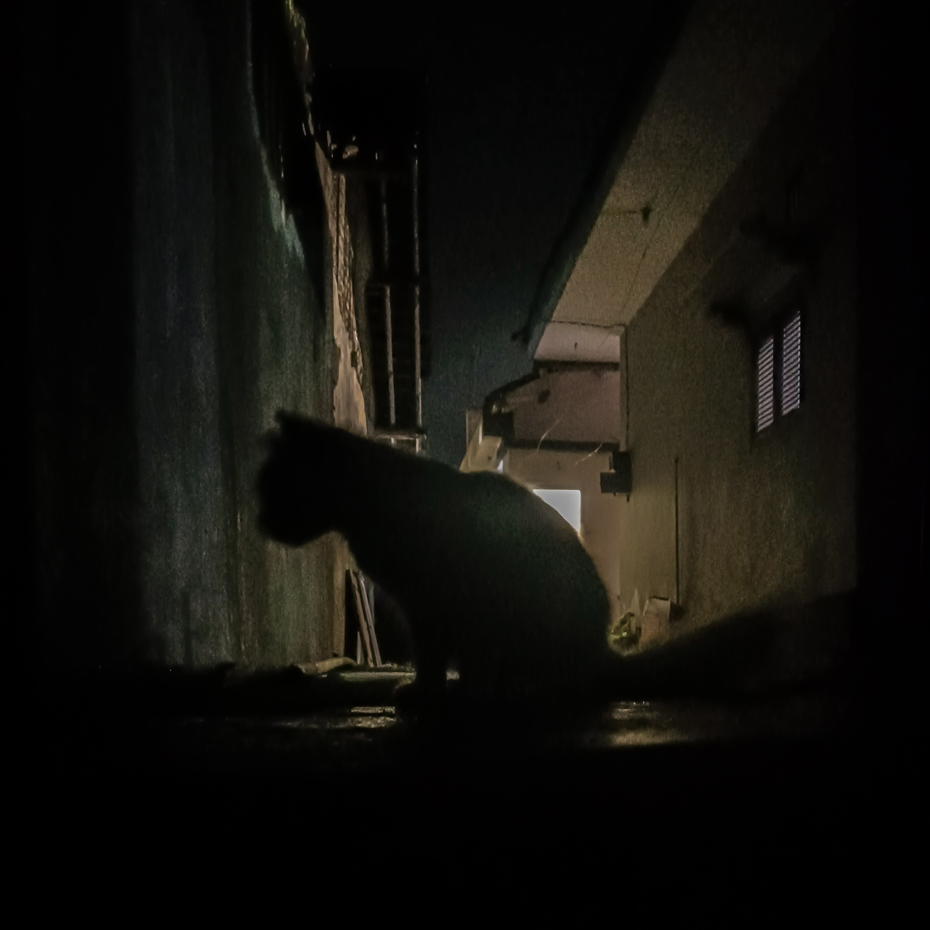 Episode 01!! Apakah laki-laki bisa berteman dengan perempuan tanpa adanya rasa? 