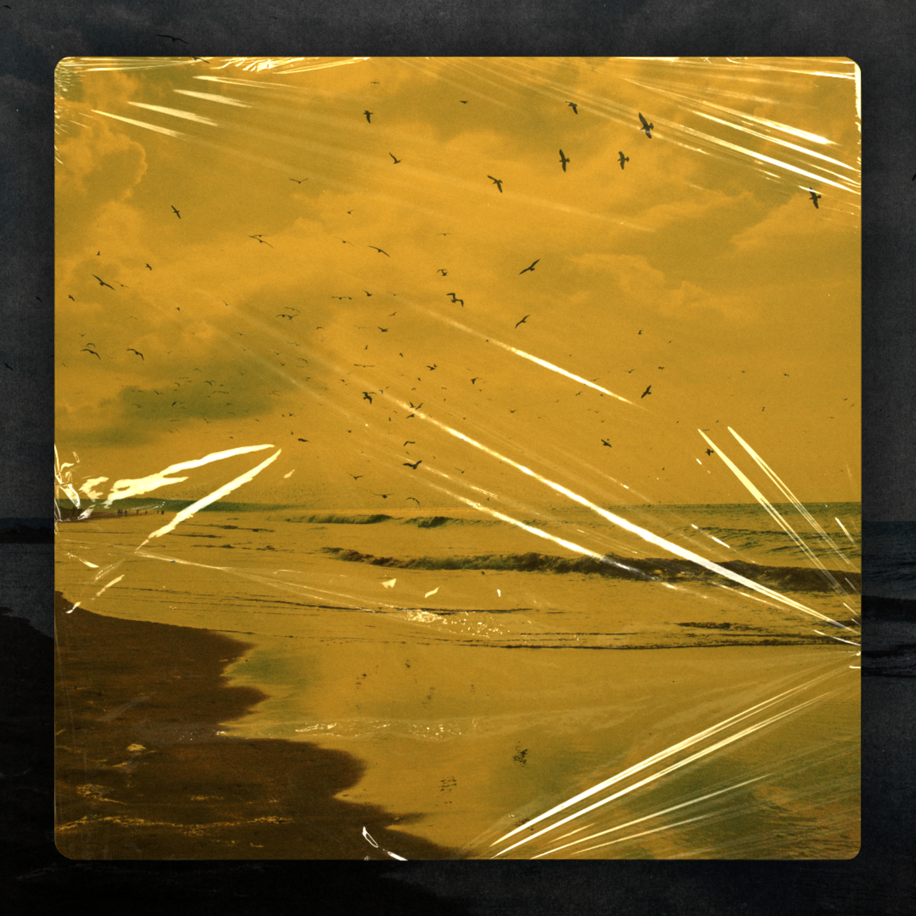 BERNALAR UNTUK BEBAS TANPA TAKUT TERASINGKAN