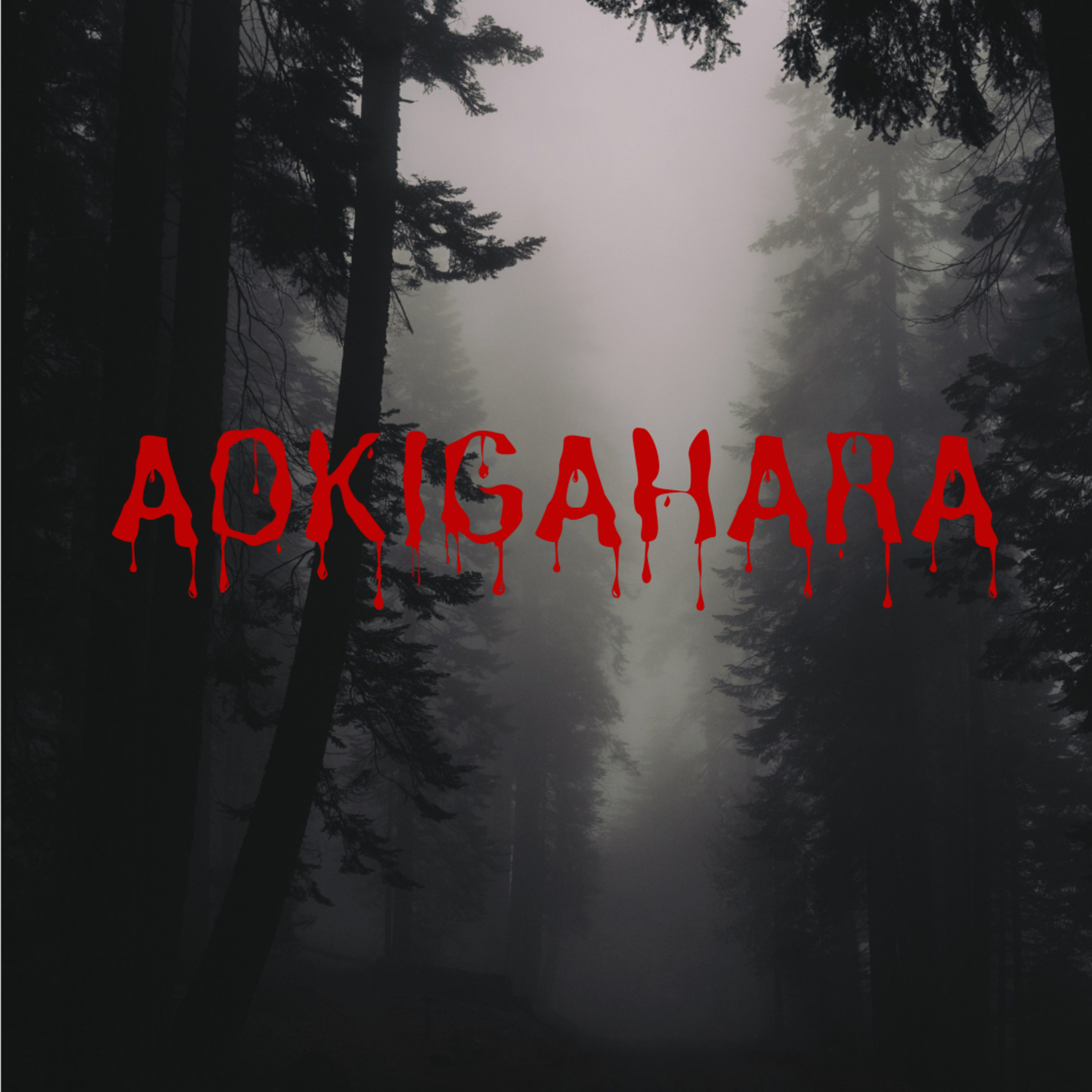 Hutan Aokigahara