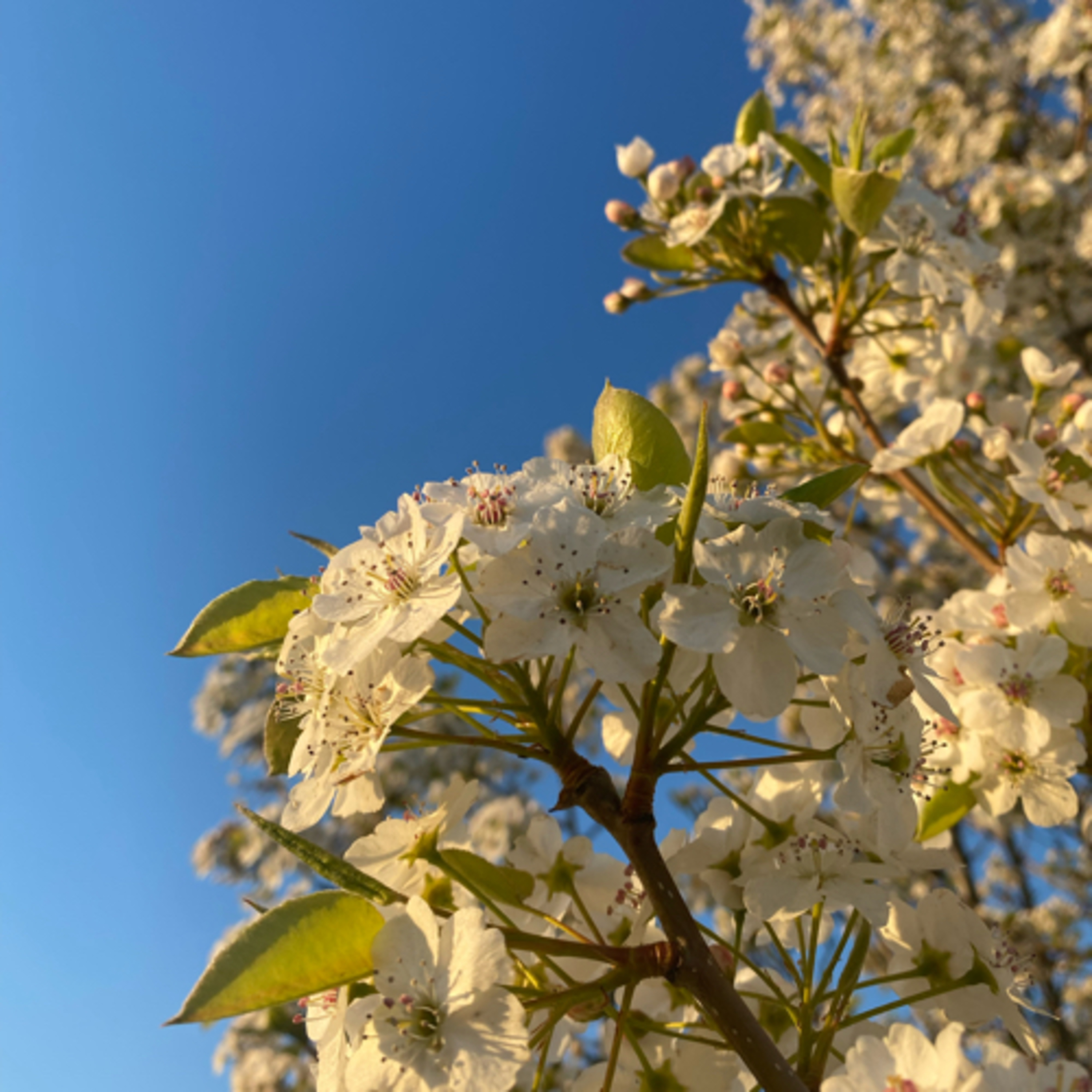 Why do I start this?