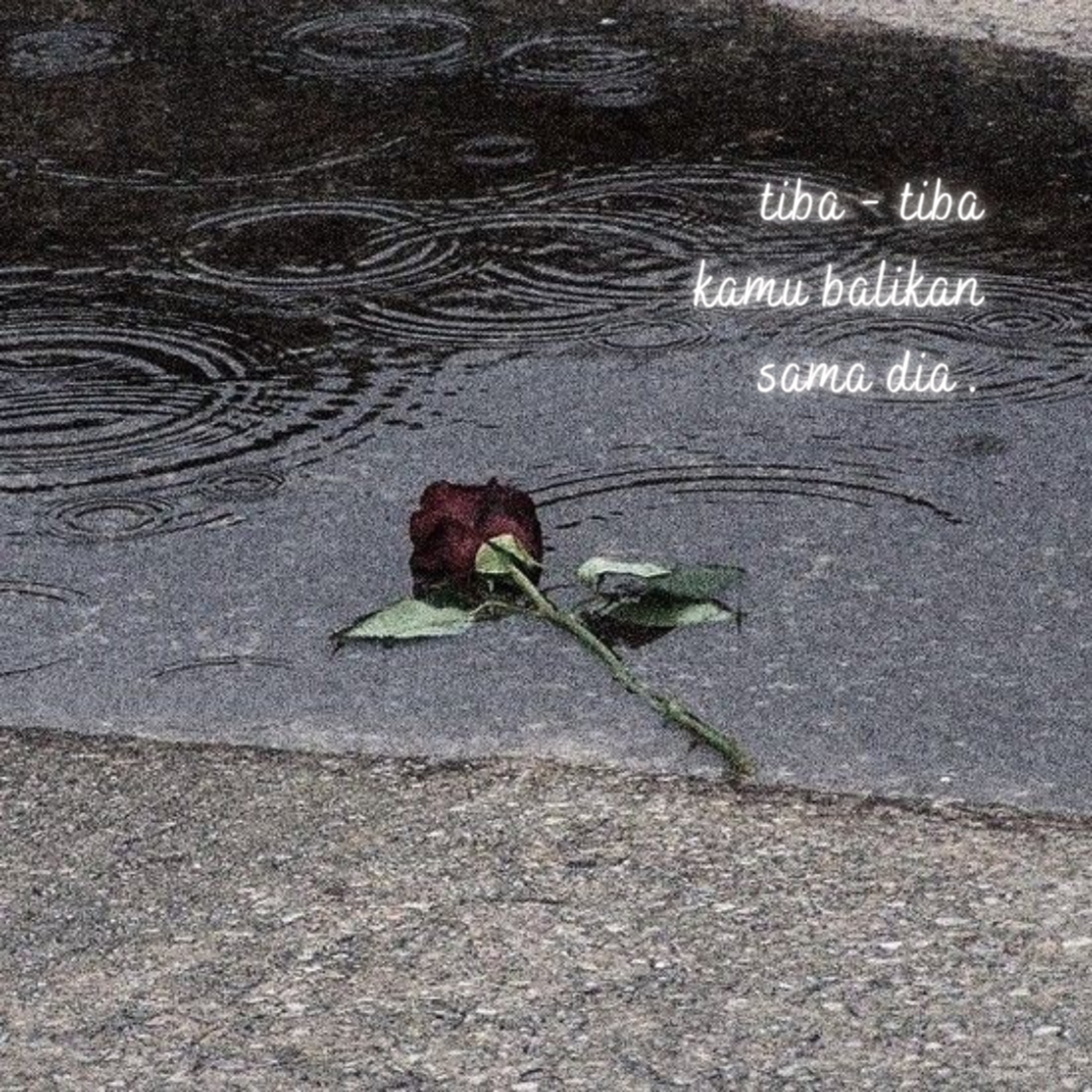 #40 : tiba-tiba kamu balikan sama dia